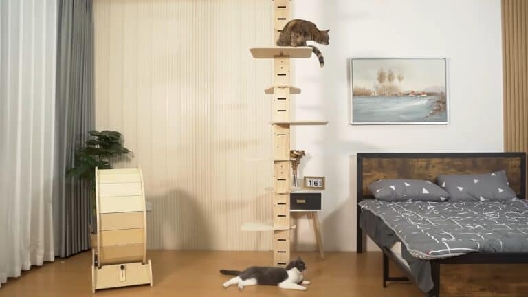 Best cat climbing frame tower